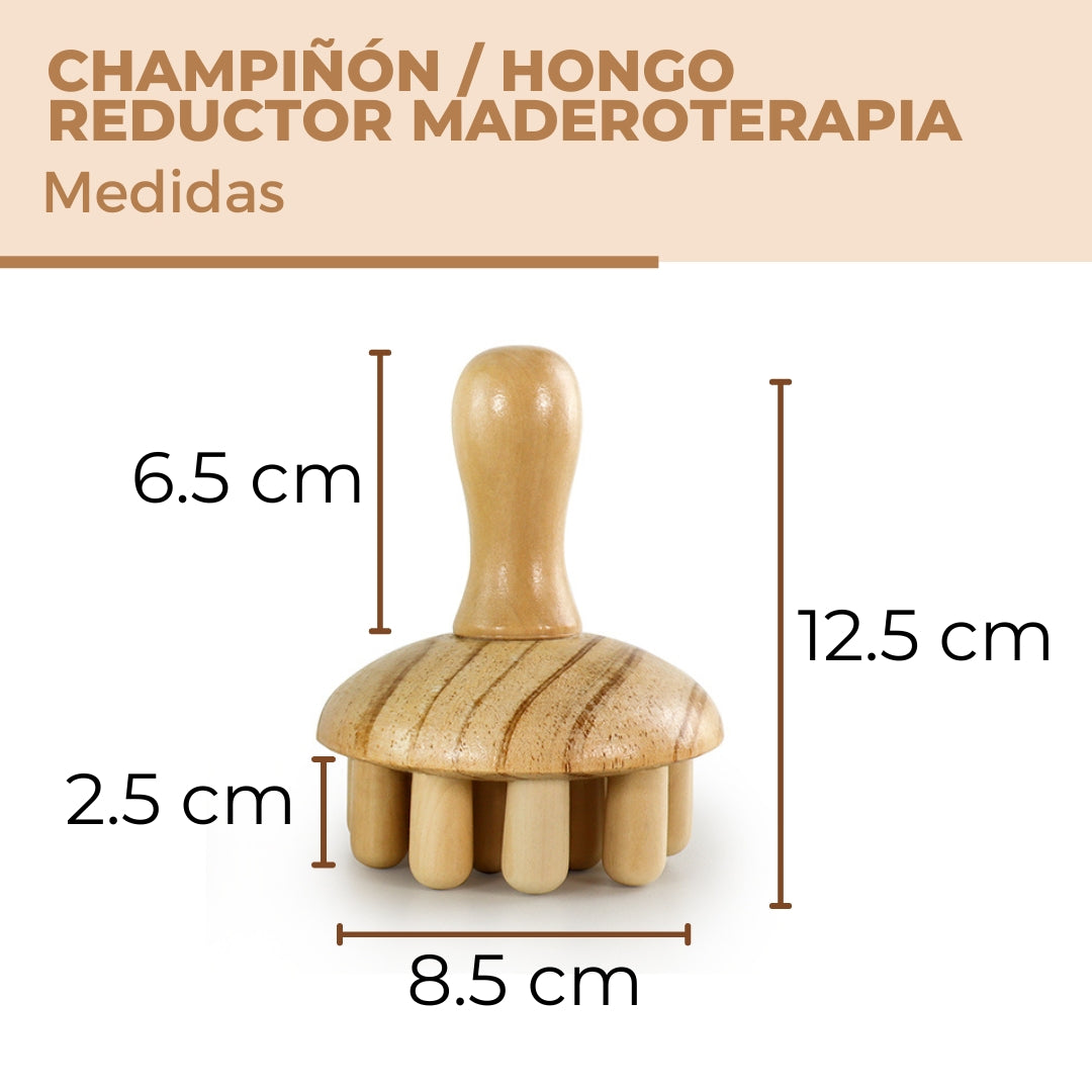 champinon-hongo-reductor-1