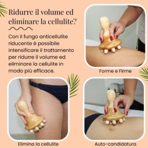 Fungo del faggio della terapia del legno (copia) - immagine 6