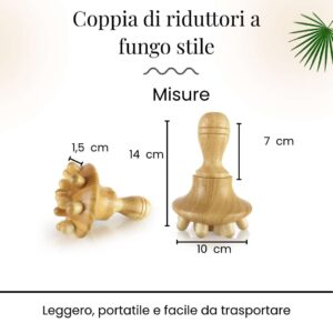 Fungo del faggio della terapia del legno (copia) - immagine 5